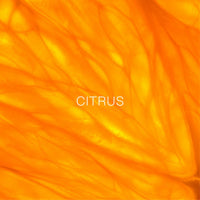 Marame Signature - Parfum for Men