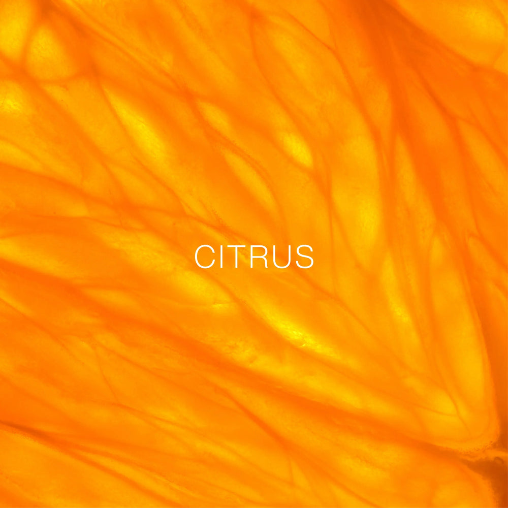 Marame Signature - Parfum for Women