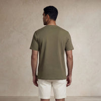 Back |Olive