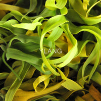 Marame Signature - Parfum for Women