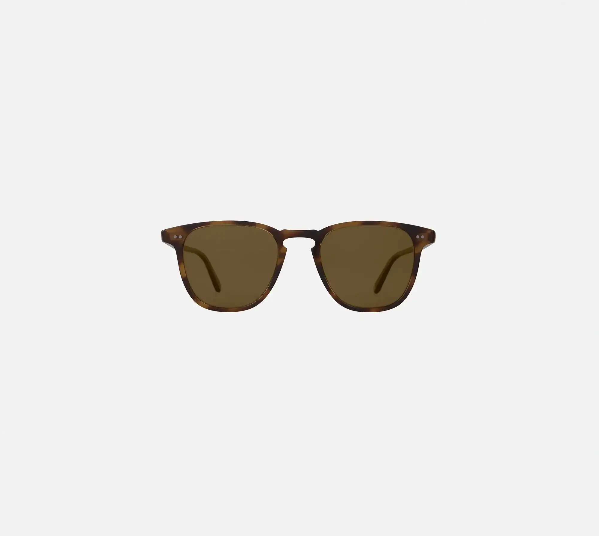  | Spotted Brown Shell swatch_img